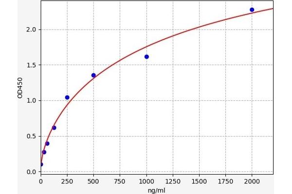 FGA ELISA 试剂盒