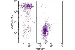 BALB/c mouse splenocytes were stained with Rat Anti-Mouse CD90. (CD90.2 / Thy-1.2 抗体  (SPRD))