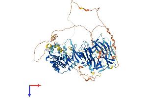 MAP4K3 Protein (AA 1-894) (His tag)