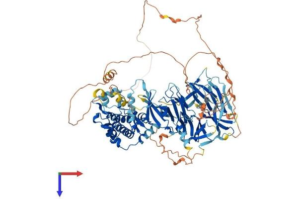 MAP4K3 Protein (AA 1-894) (His tag)