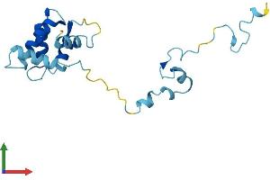 AlphaFold protein structure predicition of Mouse Recombinant Tppp2 Protein, UniprotID Q0P5Y3