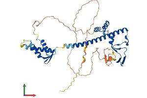 Protein Structure (PS) image for Transcription Factor Dp-1 (TFDP1) (AA 1-410) protein (His tag) (ABIN7556923)
