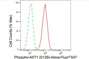 Flow cytometric analysis of Phospho-AKT1 (S129) expression in C2C12 cells using Phospho-AKT1 (S129) antibody (ABIN7800785), 1:2,000).