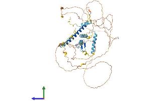Protein Structure (PS) image for GATA Zinc Finger Domain Containing 2A (GATAD2A) (AA 1-633) protein (His tag) (ABIN7550485)