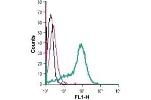 Flow Cytometry (FACS) image for anti-Transient Receptor Potential Cation Channel, Subfamily M, Member 2 (TRPM2) (AA 999-1012), (Extracellular) antibody (ABIN7043831)