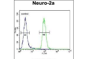 Flow cytometric analysis of Neuro-2a cells (right histogram) compared to a negative control cell (left histogram). (CIRH1A 抗体  (N-Term))