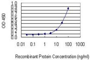ELISA image for anti-Acid Phosphatase 2, Lysosomal (ACP2) (AA 1-423) antibody (ABIN559751)
