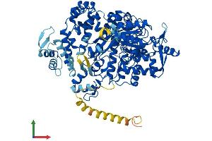 AlphaFold protein structure predicition of Human Recombinant RRM1 Protein, UniprotID P23921