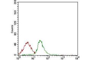 Flow cytometric analysis of Jurkat cells using CD74 mouse mAb (green) and negative control (red). (CD74 抗体  (AA 1-106))