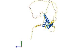 AlphaFold protein structure predicition of Mouse Recombinant Mixl1 Protein, UniprotID Q9WUI0