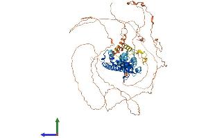Protein Structure (PS) image for Melanoma Antigen Family D, 1 (MAGED1) (AA 1-775) protein (His tag) (ABIN7565158)
