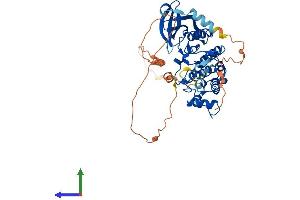 AlphaFold protein structure predicition of Human Recombinant SBK1 Protein, UniprotID Q52WX2 (SBK1 Protein (AA 1-424) (His tag))