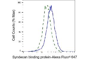 Validation of Syndecan binding protein knockdown using flow cytometry.