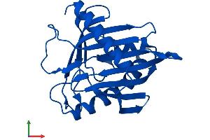 Protein Structure (PS) image for StAR-Related Lipid Transfer (START) Domain Containing 5 (STARD5) (AA 1-213) protein (His tag) (ABIN7561383)