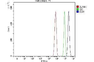 Flow Cytometry analysis of RH35 cells using anti-EGR1 antibody (ABIN7600495). (EGR1 抗体  (AA 2-38))