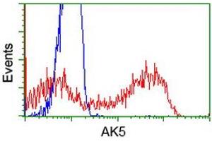 HEK293T cells transfected with either RC222241 overexpress plasmid (Red) or empty vector control plasmid (Blue) were immunostained by anti-AK5 antibody (ABIN2452720), and then analyzed by flow cytometry. (Adenylate Kinase 5 抗体)