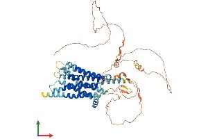 AlphaFold protein structure predicition of Mouse Recombinant Gpr162 Protein, UniprotID Q3UN16