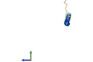 AlphaFold protein structure predicition of Mouse Recombinant Hsbp1l1 Protein, UniprotID B2RXB2