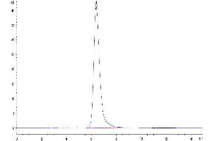 Size-exclusion chromatography-High Pressure Liquid Chromatography (SEC-HPLC) image for Interleukin 21 Receptor (IL21R) (AA 20-236) protein (Fc Tag) (ABIN7275021)