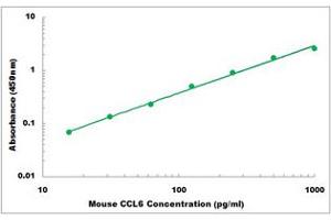Representative Standard Curve (CCL6 ELISA 试剂盒)
