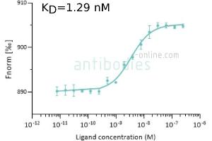 Binding Studies (Bind) image for anti-SARS-CoV-2 Spike S1 (RBD) antibody (ABIN6952546)