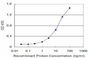 Detection limit for recombinant GST tagged TARBP2 is approximately 0. (TARBP2 抗体  (AA 141-250))