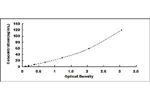Typical standard curve (Filamin A ELISA 试剂盒)