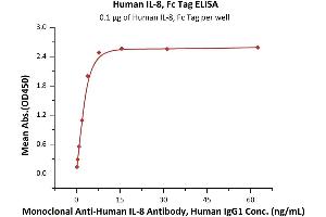 Interleukin 8 (IL8) (AA 28-99) (Active) protein (Fc Tag)