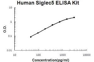 SIGLEC5 ELISA 试剂盒