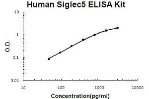 Human Siglec5 PicoKine ELISA Kit standard curve (SIGLEC5 ELISA 试剂盒)