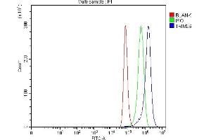 Flow Cytometry analysis of Hela cells using anti-TRIM36 antibody (ABIN7600059). (TRIM36 抗体  (AA 143-642))