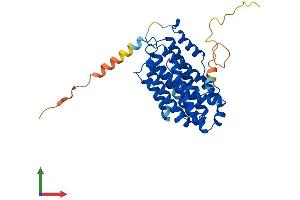 AlphaFold protein structure predicition of Human Recombinant RRM2B Protein, UniprotID Q7LG56