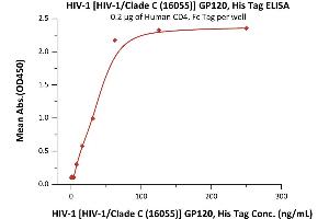 Immobilized Human CD4, Fc Tag (ABIN2180789,ABIN2180788) at 2 μg/mL (100 μL/well) can bind HIV-1 [HIV-1/Clade C (16055)] GP120, His Tag (4) with a linear range of 0. (Human Immunodeficiency Virus Surface Glycoprotein (HIV gp120) (AA 34-506) (Active) protein (His tag))