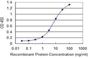 Detection limit for recombinant GST tagged COX5A is 0. (COX5A 抗体  (AA 1-150))
