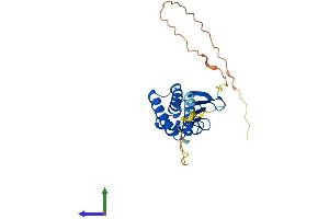 AlphaFold protein structure predicition of Human Recombinant BTG4 Protein, UniprotID Q9NY30 (BTG4 Protein (AA 1-223) (His tag))