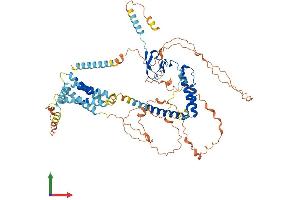Protein Structure (PS) image for Transmembrane Protein 201 (TMEM201) (AA 1-664) protein (His tag) (ABIN7561878)