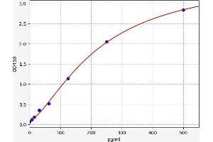 Interleukin 31 (IL31) ELISA Kit