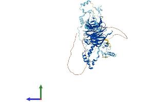 Protein Structure (PS) image for Block of Proliferation 1 (BOP1) (AA 1-732) protein (His tag) (ABIN7556809)