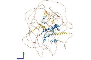Protein Structure (PS) image for Transcriptional Regulating Factor 1 (TRERF1) (AA 1-1205) protein (His tag) (ABIN7564456)