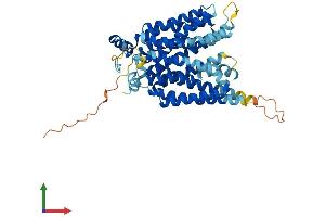 Protein Structure (PS) image for Solute Carrier Family 2 (Facilitated Glucose Transporter) Member 8 (SLC2A8) (AA 1-477) protein (His tag) (ABIN7561543)