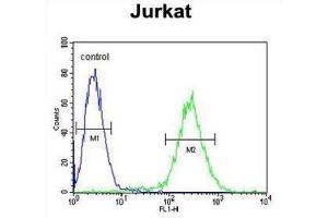 Flow Cytometry (FACS) image for anti-Nucleolar Protein 9 (NOL9) antibody (ABIN3004375) (NOL9 抗体)