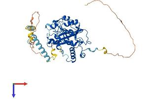 Protein Structure (PS) image for Methyltransferase Like 14 (METTL14) (AA 1-456) protein (His tag) (ABIN7554567)
