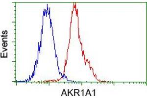 Image no. 4 for anti-Aldo-Keto Reductase Family 1, Member A1 (Aldehyde Reductase) (AKR1A1) antibody (ABIN1496544) (AKR1A1 抗体)