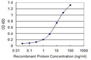 Detection limit for recombinant GST tagged DLL4 is 0. (DLL4 抗体  (AA 123-221))