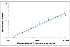Representative Standard Curve (Galectin 3 ELISA 试剂盒)