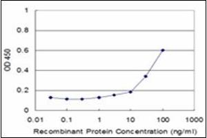 ELISA image for anti-Neuropeptide Y (NPY) antibody (ABIN953679) (NPY 抗体)