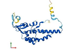 Protein Structure (PS) image for GINS Complex Subunit 3 (Psf3 Homolog) (GINS3) (AA 1-216) protein (His tag) (ABIN7560748)