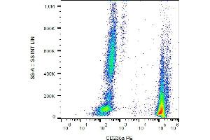 Flow cytometry analysis (surface staining) of CD235a in human peripheral blood (erythrocytes and leukocytes) with anti-CD235a (JC159) PE. (CD235a/GYPA 抗体  (PE))