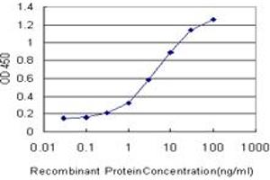 ELISA image for anti-Solute Carrier Family 6 (Neurotransmitter Transporter, serotonin), Member 4 (SLC6A4) (AA 181-252) antibody (ABIN520249)