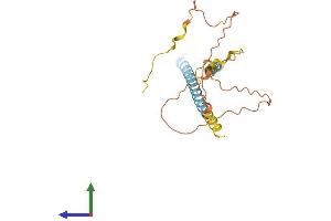 AlphaFold protein structure predicition of Human Recombinant MYCT1 Protein, UniprotID Q8N699